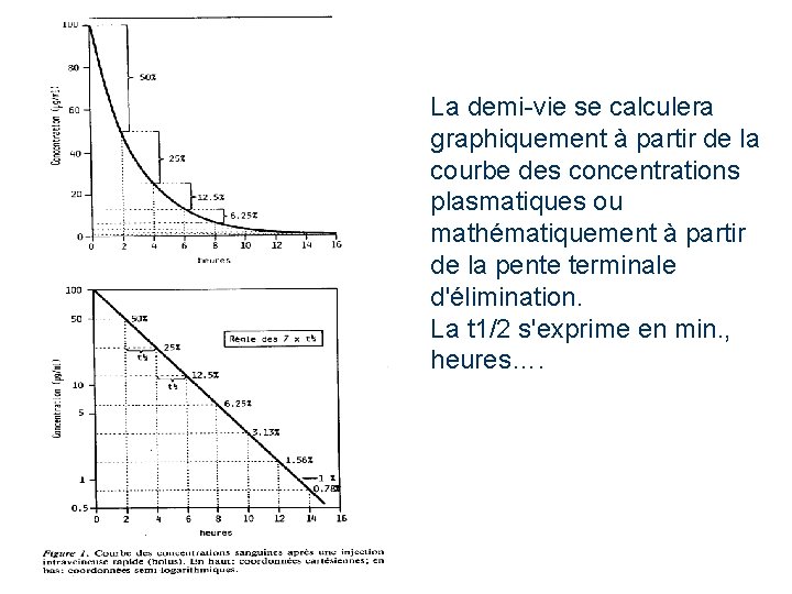La demi-vie se calculera graphiquement à partir de la courbe des concentrations plasmatiques ou