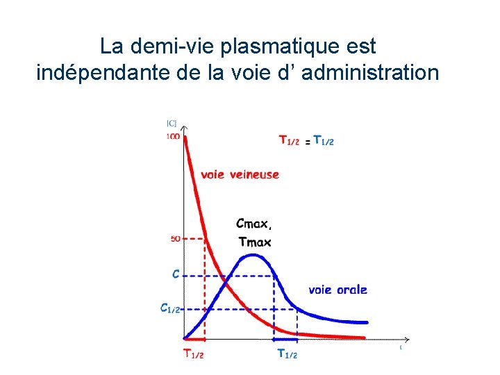 La demi-vie plasmatique est indépendante de la voie d’ administration 