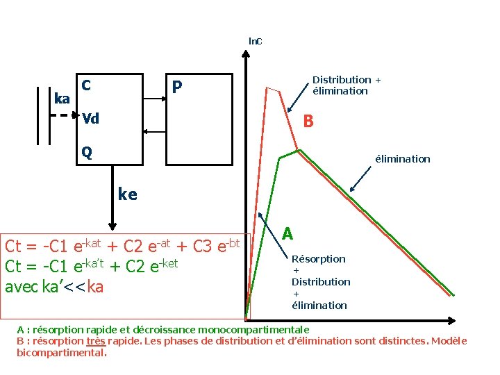 ln. C ka Distribution + élimination P C Vd B Q élimination ke Ct