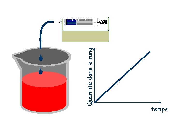 Quantité dans le sang temps 