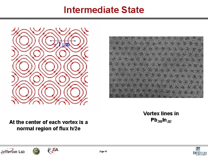 Intermediate State Vortex lines in Pb. 98 In. 02 At the center of each