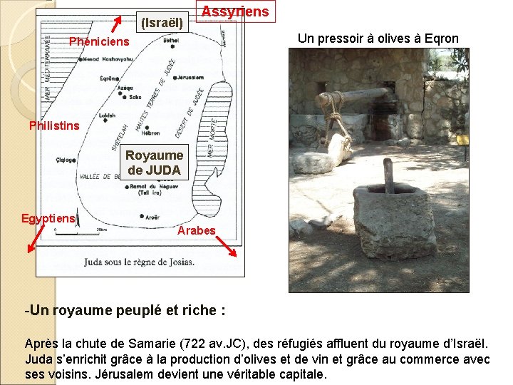 (Israël) Assyriens Un pressoir à olives à Eqron Phéniciens Philistins Royaume de JUDA Egyptiens