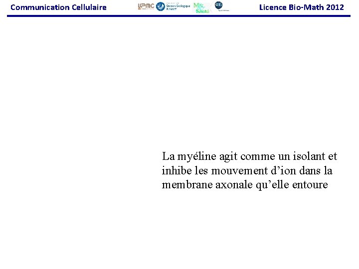 Communication Cellulaire Licence Bio-Math 2012 La myéline agit comme un isolant et inhibe les