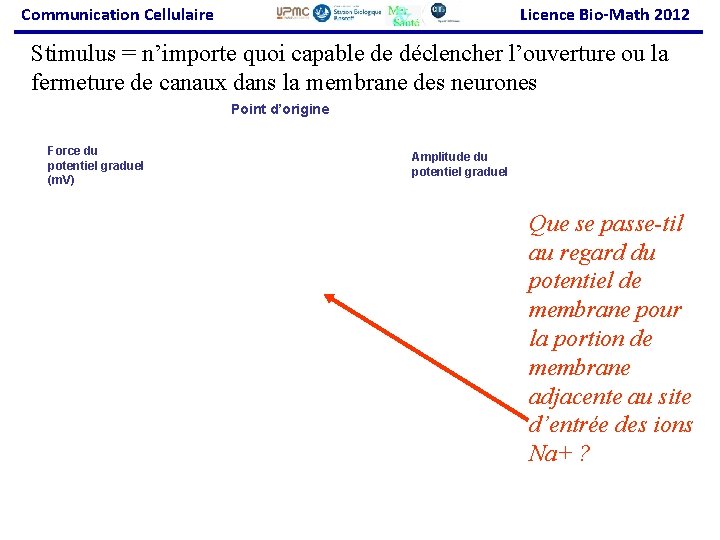 Communication Cellulaire Licence Bio-Math 2012 Stimulus = n’importe quoi capable de déclencher l’ouverture ou