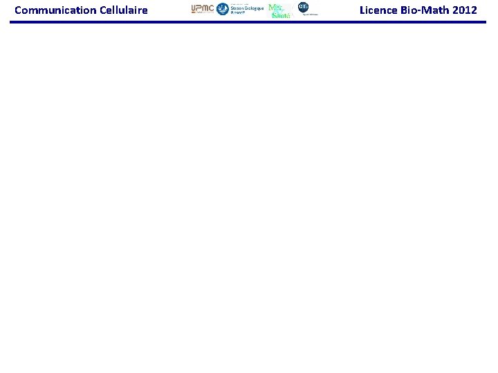 Communication Cellulaire Licence Bio-Math 2012 