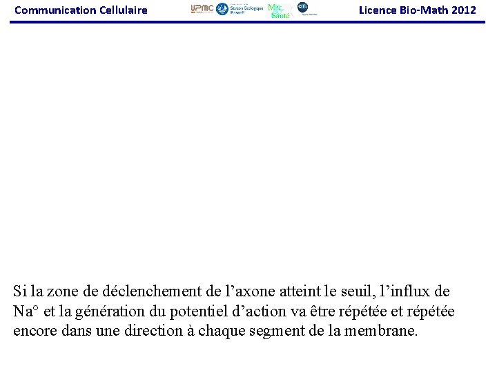 Communication Cellulaire Licence Bio-Math 2012 Si la zone de déclenchement de l’axone atteint le