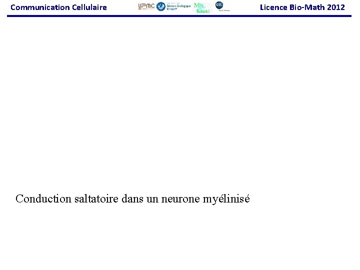 Communication Cellulaire Conduction saltatoire dans un neurone myélinisé Licence Bio-Math 2012 