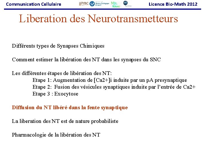 Communication Cellulaire Licence Bio-Math 2012 Liberation des Neurotransmetteurs Différents types de Synapses Chimiques Comment