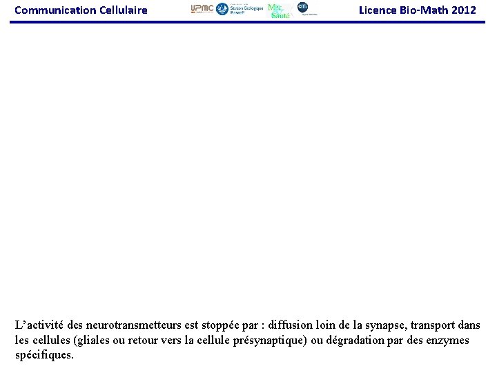 Communication Cellulaire Licence Bio-Math 2012 L’activité des neurotransmetteurs est stoppée par : diffusion loin