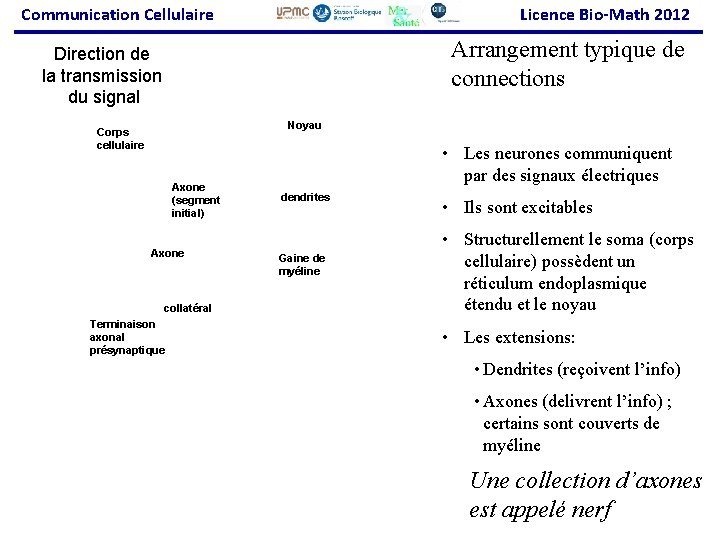 Communication Cellulaire Licence Bio-Math 2012 Arrangement typique de connections Direction de la transmission du