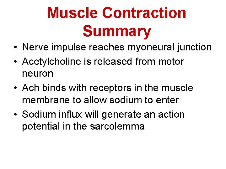 Muscle Contraction Summary • Nerve impulse reaches myoneural junction • Acetylcholine is released from