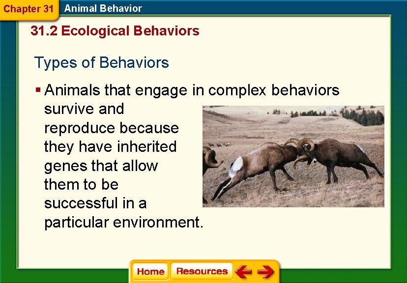 Chapter 31 Animal Behavior 31. 2 Ecological Behaviors Types of Behaviors § Animals that