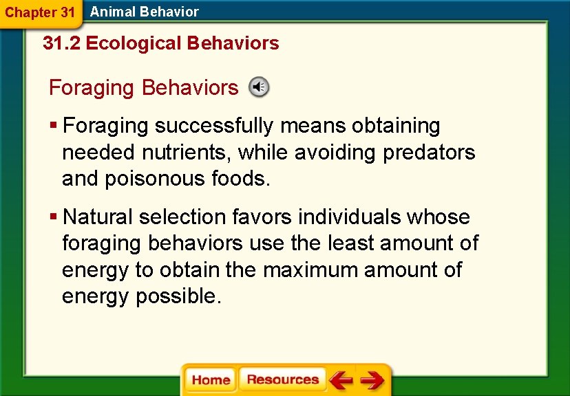 Chapter 31 Animal Behavior 31. 2 Ecological Behaviors Foraging Behaviors § Foraging successfully means