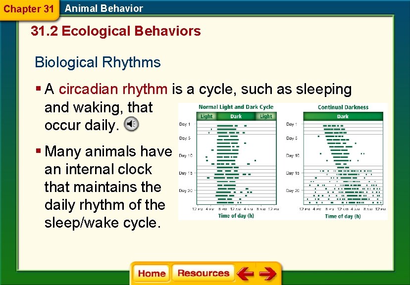 Chapter 31 Animal Behavior 31. 2 Ecological Behaviors Biological Rhythms § A circadian rhythm