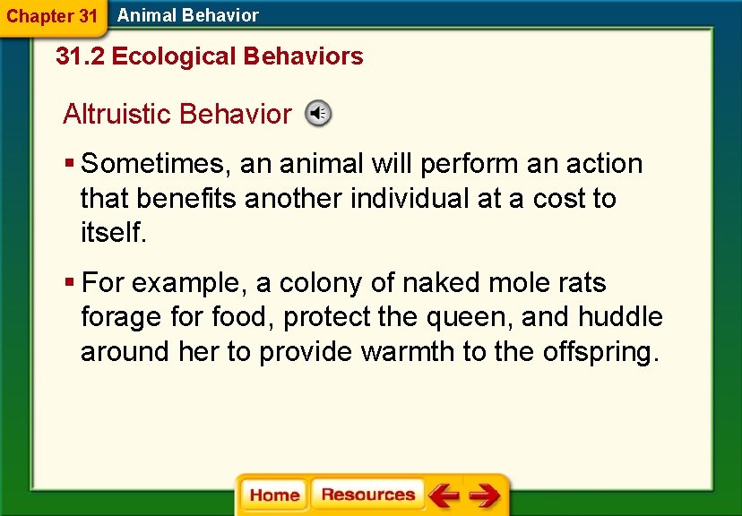 Chapter 31 Animal Behavior 31. 2 Ecological Behaviors Altruistic Behavior § Sometimes, an animal