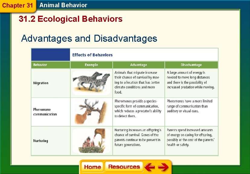 Chapter 31 Animal Behavior 31. 2 Ecological Behaviors Advantages and Disadvantages 