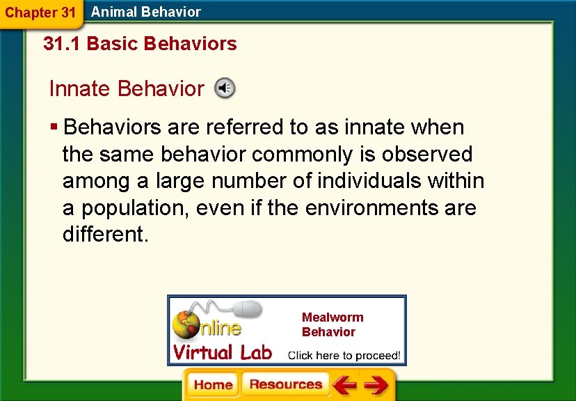 Chapter 31 Animal Behavior 31. 1 Basic Behaviors Innate Behavior § Behaviors are referred