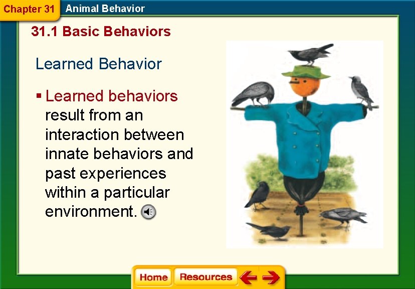 Chapter 31 Animal Behavior 31. 1 Basic Behaviors Learned Behavior § Learned behaviors result