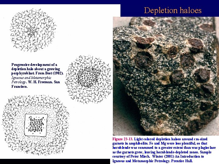 Depletion haloes Progressive development of a depletion halo about a growing porphyroblast. From Best