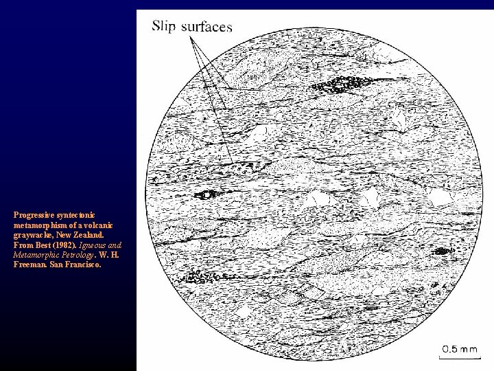 Progressive syntectonic metamorphism of a volcanic graywacke, New Zealand. From Best (1982). Igneous and