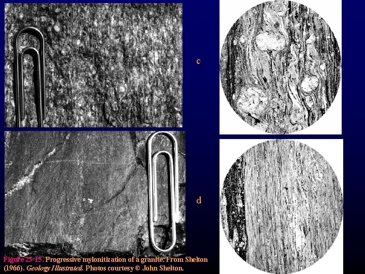 c d Figure 23 -15. Progressive mylonitization of a granite. From Shelton (1966). Geology