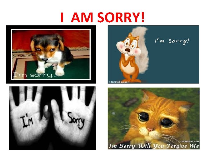 I AM SORRY! 
