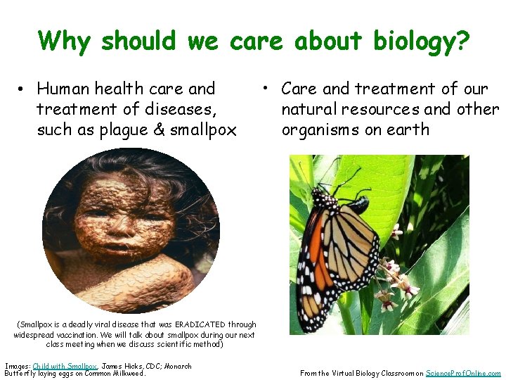 Why should we care about biology? • Human health care and treatment of diseases,