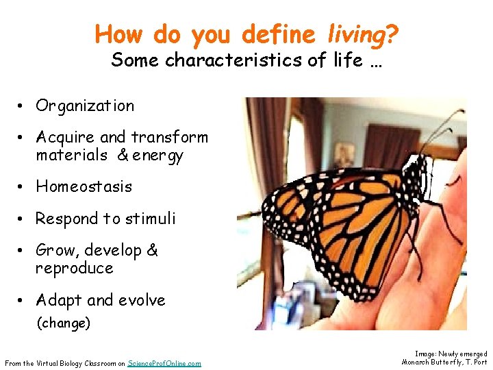How do you define living? Some characteristics of life … • Organization • Acquire