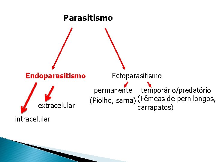 Parasitismo Endoparasitismo extracelular intracelular Ectoparasitismo permanente temporário/predatório (Piolho, sarna) (Fêmeas de pernilongos, carrapatos) 