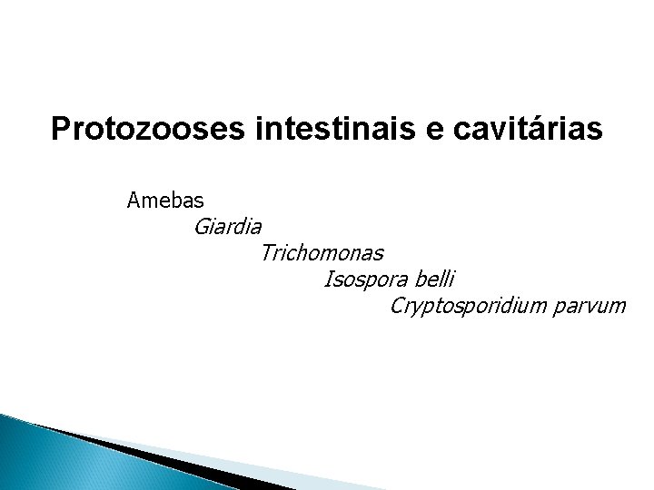 Protozooses intestinais e cavitárias Amebas Giardia Trichomonas Isospora belli Cryptosporidium parvum 