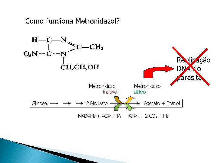 Como funciona Metronidazol? Replicação DNA do parasita Metronidazol inativo Glicose 2 Piruvato NADPH 2