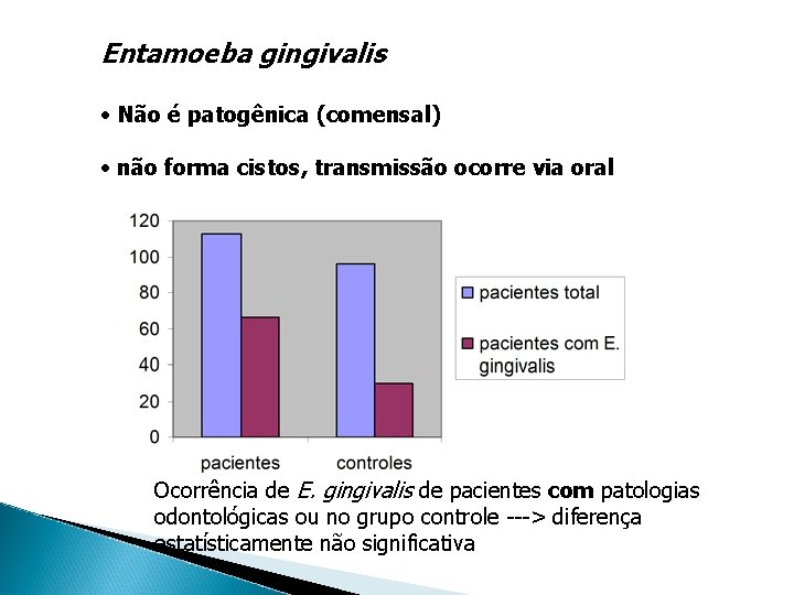 Entamoeba gingivalis • Não é patogênica (comensal) • não forma cistos, transmissão ocorre via
