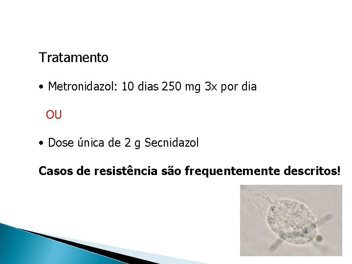 Tratamento • Metronidazol: 10 dias 250 mg 3 x por dia OU • Dose