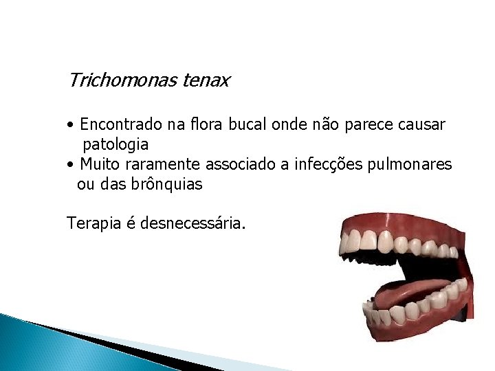 Trichomonas tenax • Encontrado na flora bucal onde não parece causar patologia • Muito