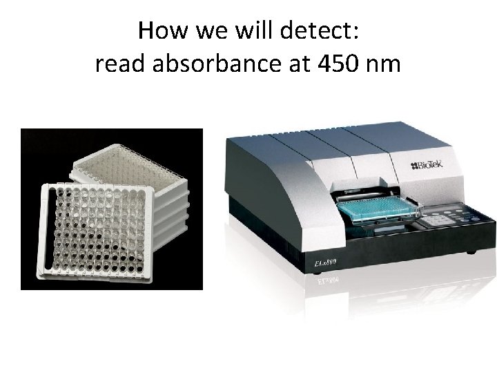 How we will detect: read absorbance at 450 nm 