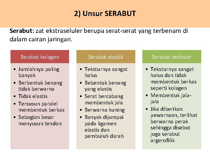 2) Unsur SERABUT Serabut: zat ekstraseluler berupa serat-serat yang terbenam di dalam cairan jaringan.