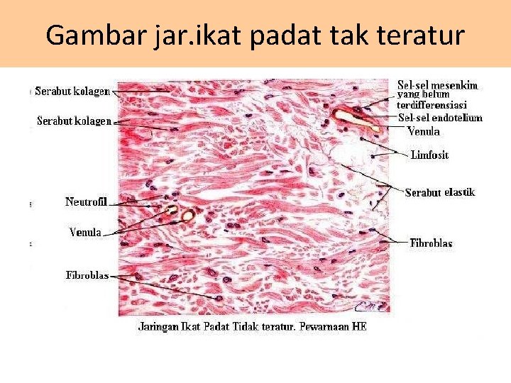 Gambar jar. ikat padat tak teratur 