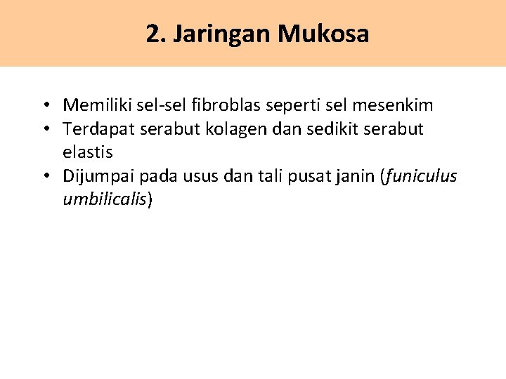 2. Jaringan Mukosa • Memiliki sel-sel fibroblas seperti sel mesenkim • Terdapat serabut kolagen