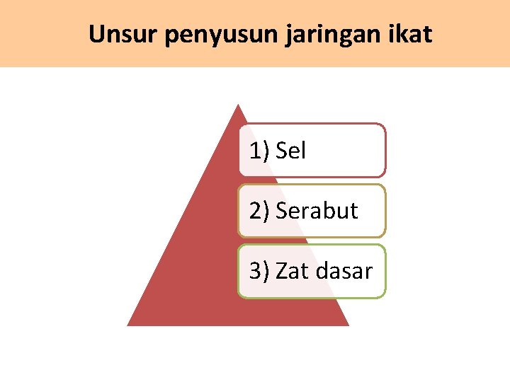 Unsur penyusun jaringan ikat 1) Sel 2) Serabut 3) Zat dasar 