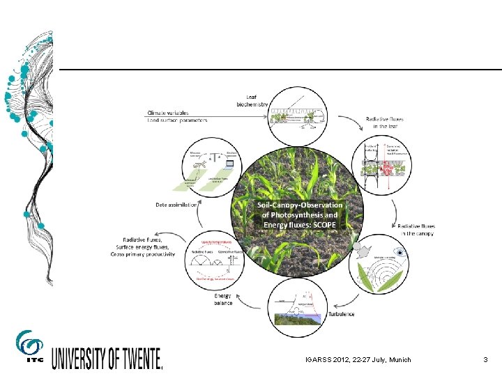 SURFACE ENERGY BALANCE AND PHOTOSYNTHESIS SCALING FROM LEAF