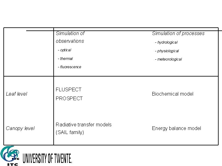 SURFACE ENERGY BALANCE AND PHOTOSYNTHESIS SCALING FROM LEAF