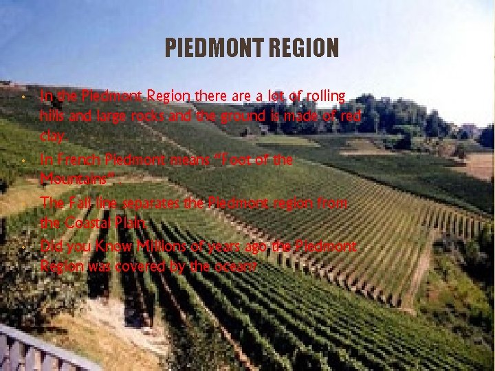 PIEDMONT REGION • • In the Piedmont Region there a lot of rolling hills