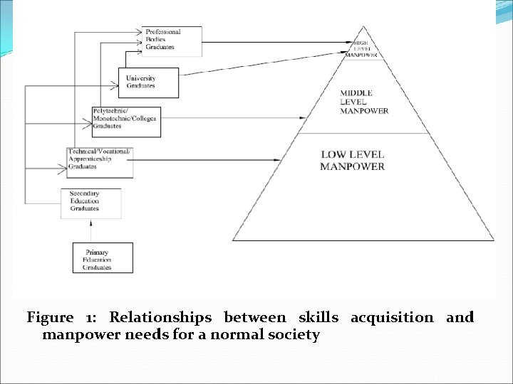 Figure 1: Relationships between skills acquisition and manpower needs for a normal society 