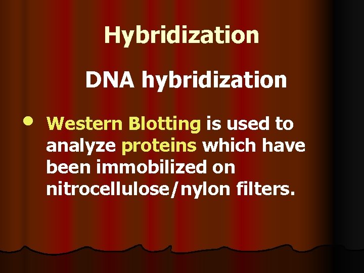 Hybridization DNA hybridization • Western Blotting is used to analyze proteins which have been