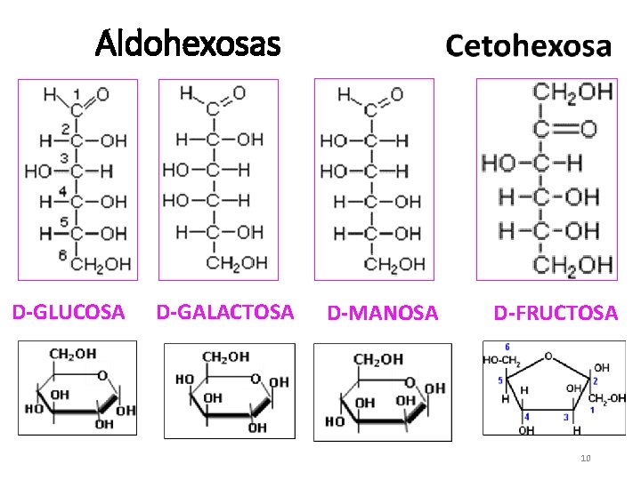 Aldohexosas D-GLUCOSA D-GALACTOSA D-MANOSA D-FRUCTOSA 10 