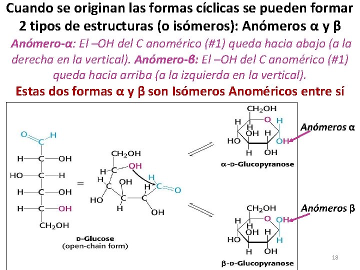 Cuando se originan las formas cíclicas se pueden formar 2 tipos de estructuras (o