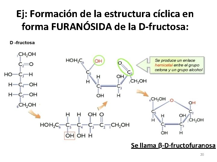 Ej: Formación de la estructura cíclica en forma FURANÓSIDA de la D-fructosa: Se llama