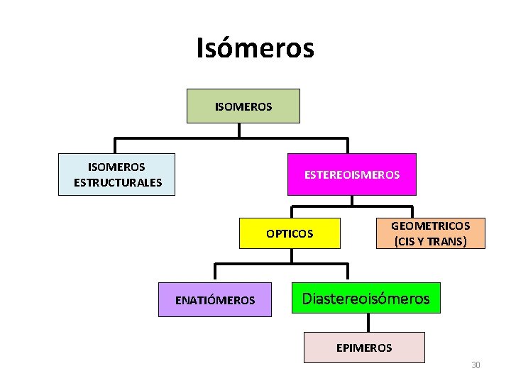 Isómeros ISOMEROS ESTRUCTURALES ESTEREOISMEROS OPTICOS ENATIÓMEROS GEOMETRICOS (CIS Y TRANS) Diastereoisómeros EPIMEROS 30 