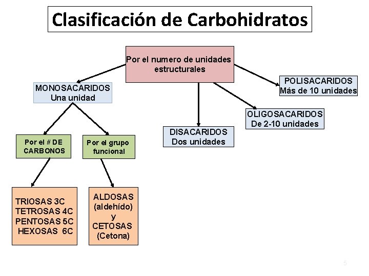 Clasificación de Carbohidratos Por el numero de unidades estructurales POLISACARIDOS Más de 10 unidades