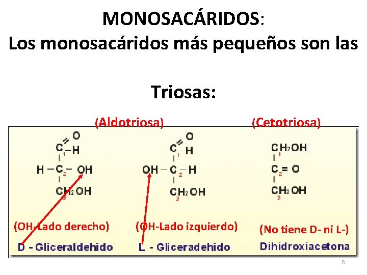 MONOSACÁRIDOS: Los monosacáridos más pequeños son las Triosas: (Aldotriosa) (Cetotriosa) • Aldotriosa: • Cetotriosa: